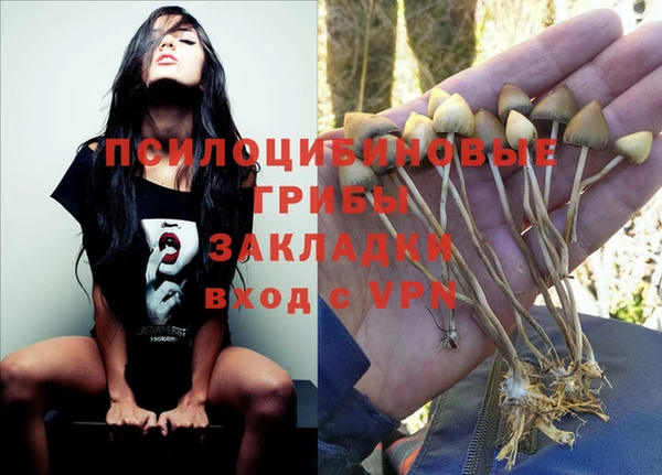 скорость Балахна