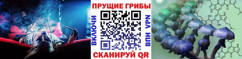 наркошоп  Уварово  Псилоцибиновые грибы мухоморы 