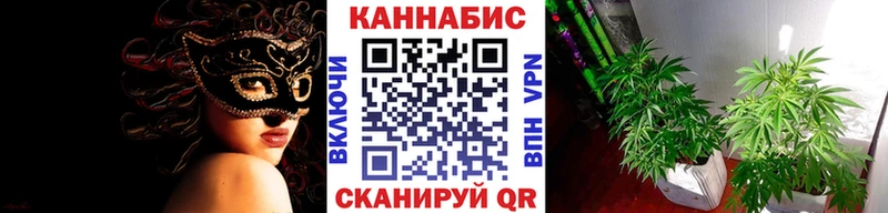 Конопля гибрид Уварово